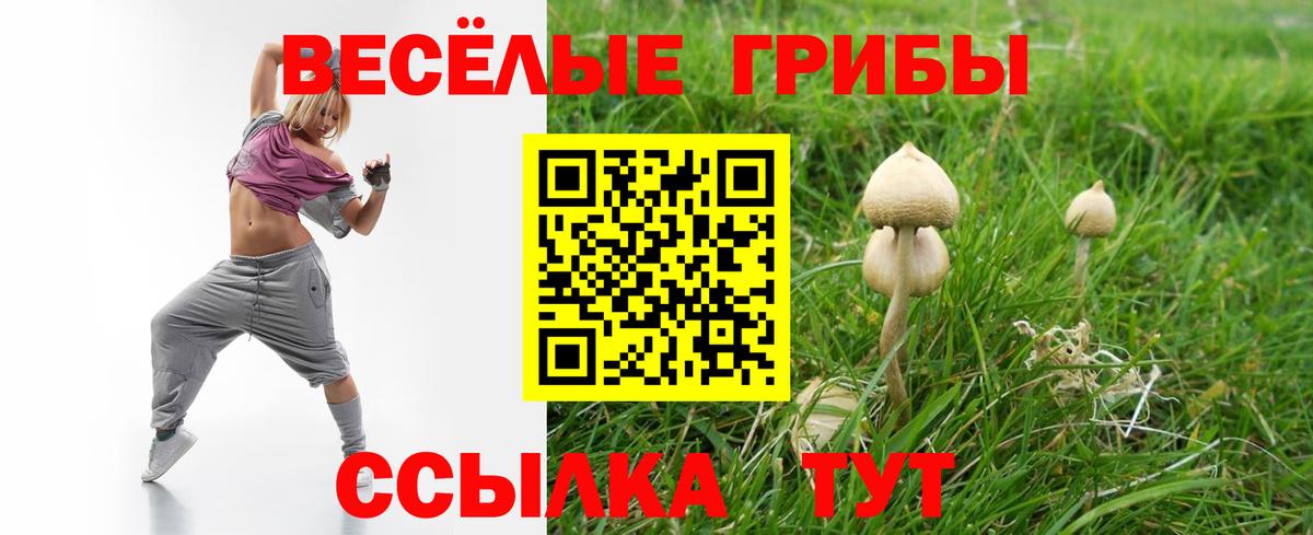 Галлюциногенные грибы мухоморы Тобольск